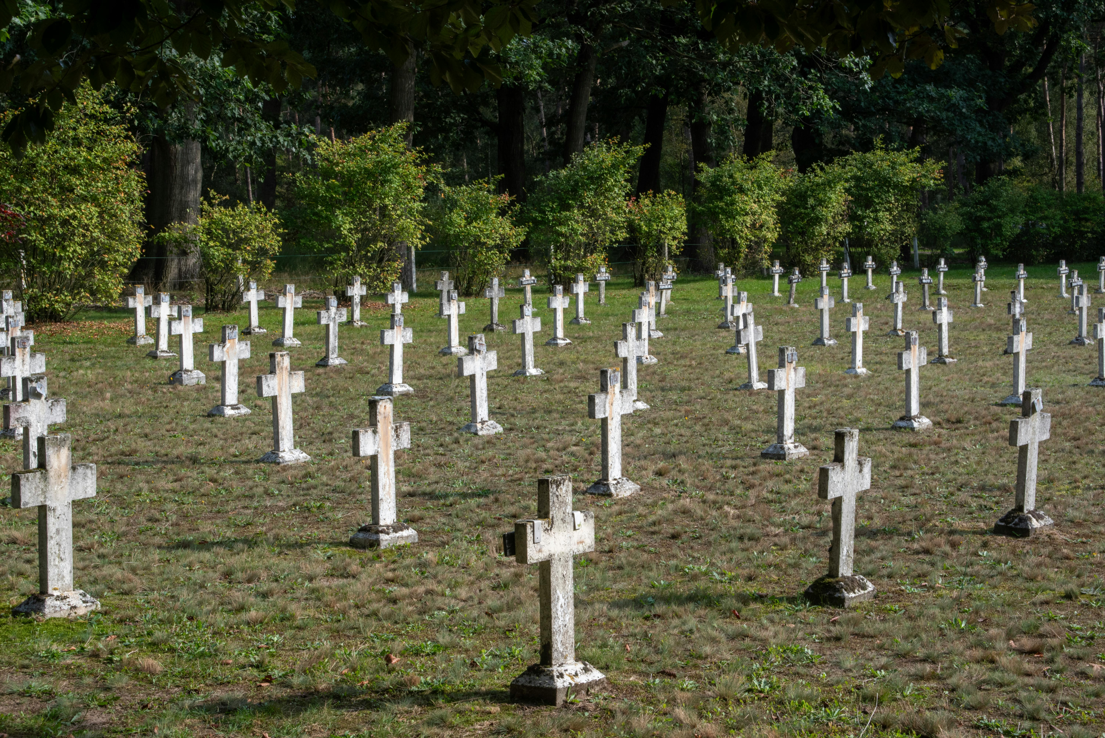 Как получить место на кладбище